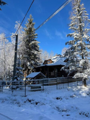 Cabana din padurea Belis si casuta din copac Cluj-Napoca